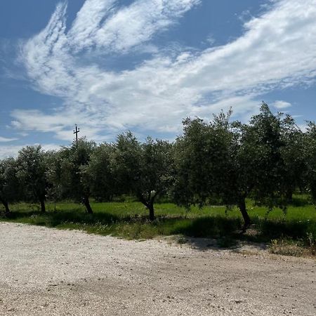 Il Casale Del Nonno Armando Villa Torrevecchia Teatina Bagian luar foto